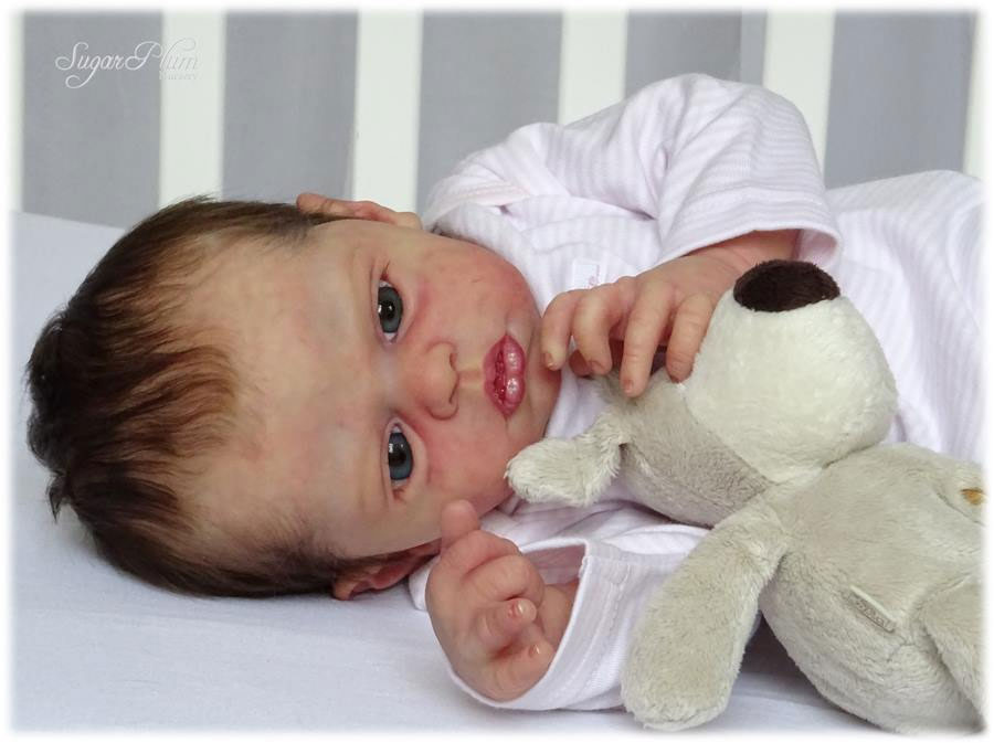 Phil donnelly best sale reborn dolls